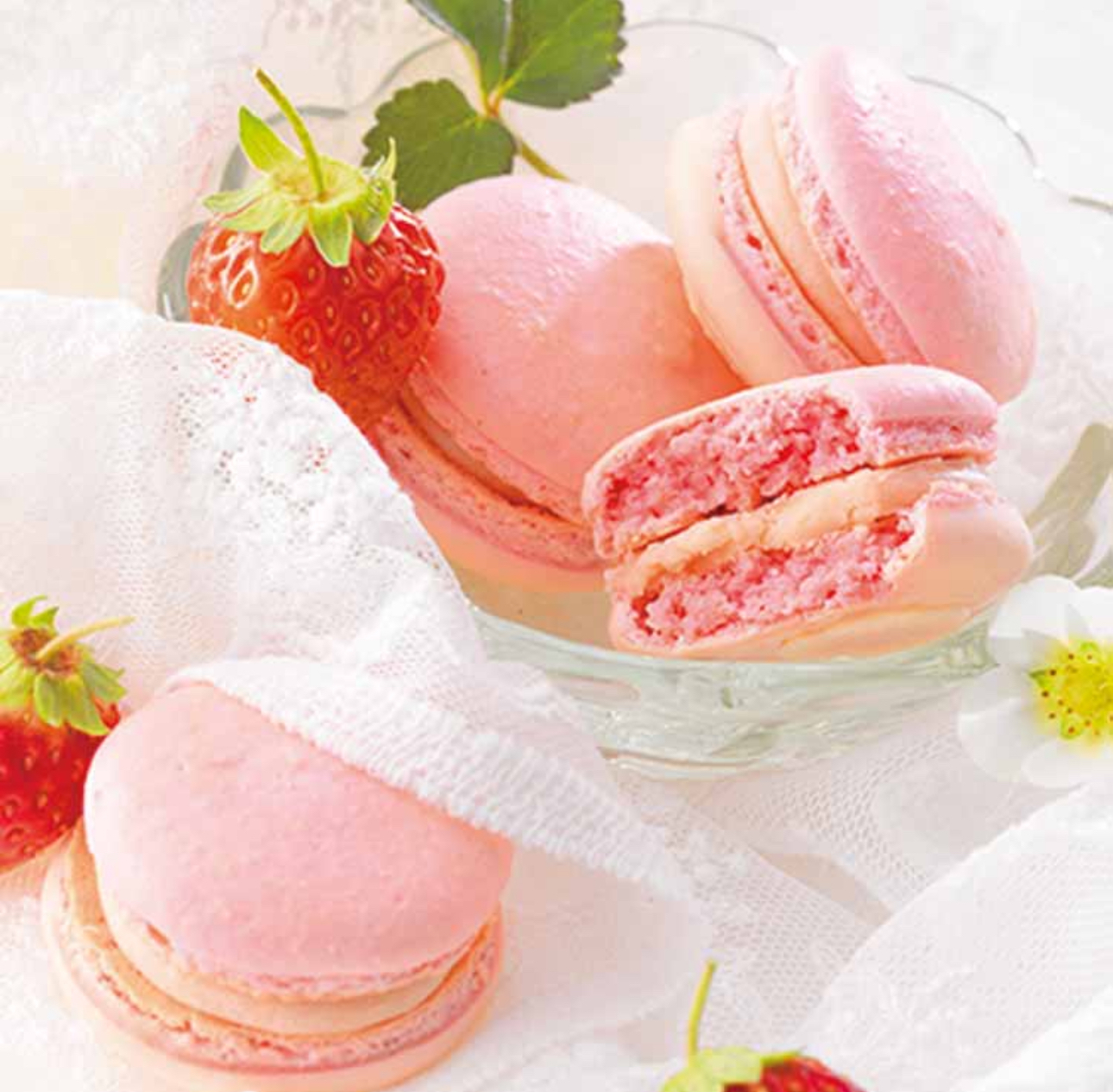 【預購】 J0313901 ROYCE’ Royce 草莓🍓馬卡龍 期間限定