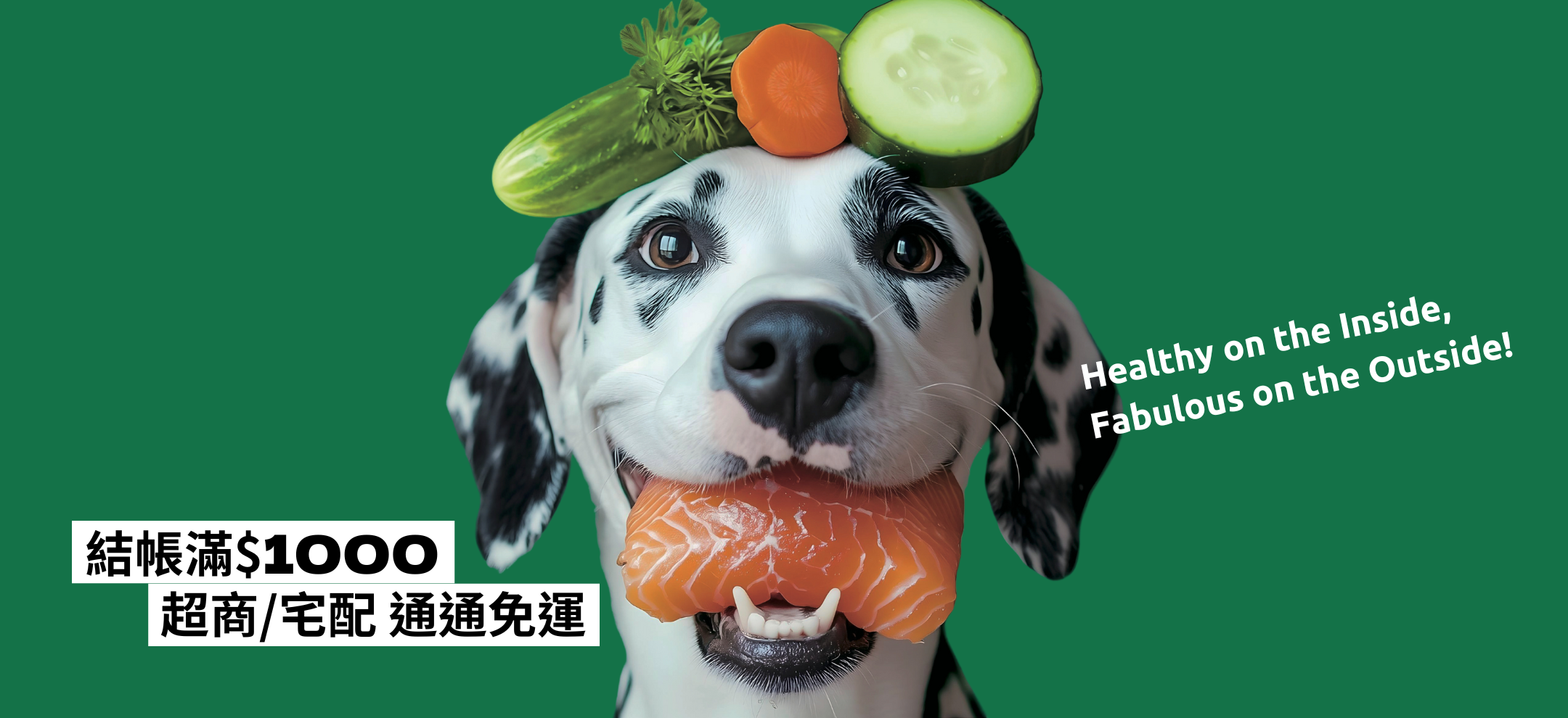 Oh!Pet狗狗專區