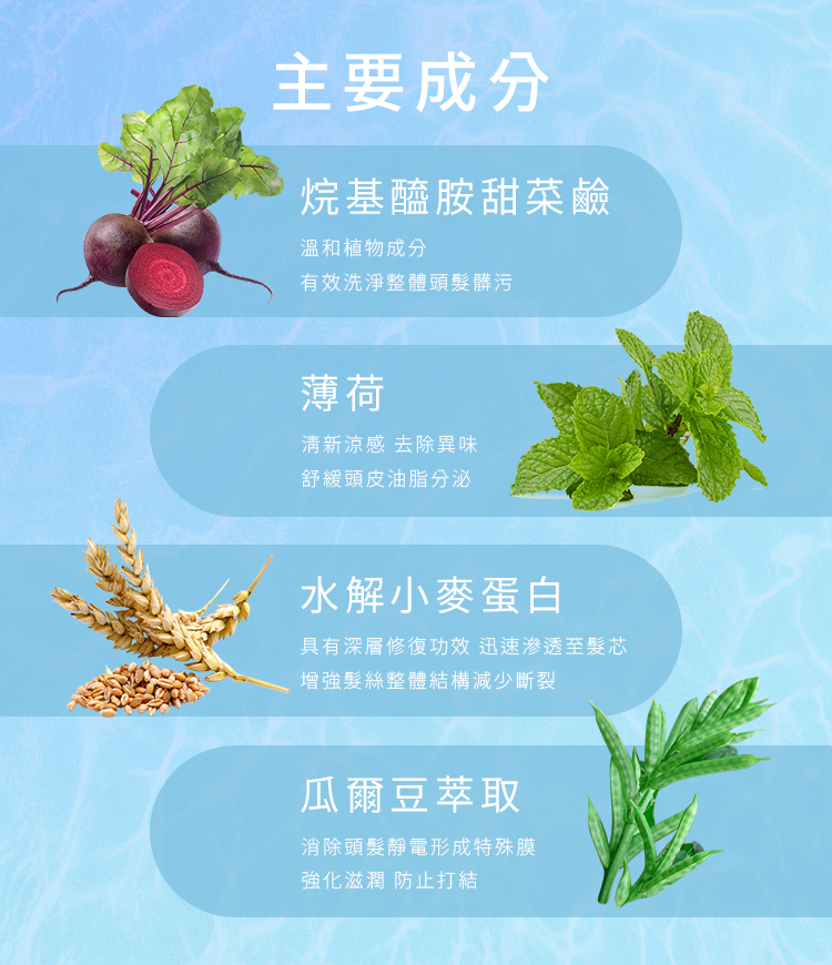 清潔,清爽,涼感,清涼,薄荷,頭皮養護,頭皮SPA,控油,保濕,夏天