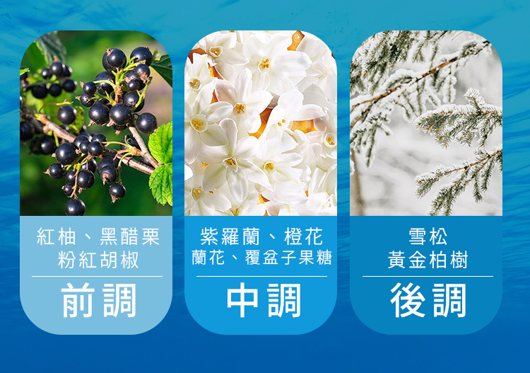 清潔,清爽,涼感,清涼,薄荷,頭皮養護,頭皮SPA,控油,保濕,夏天