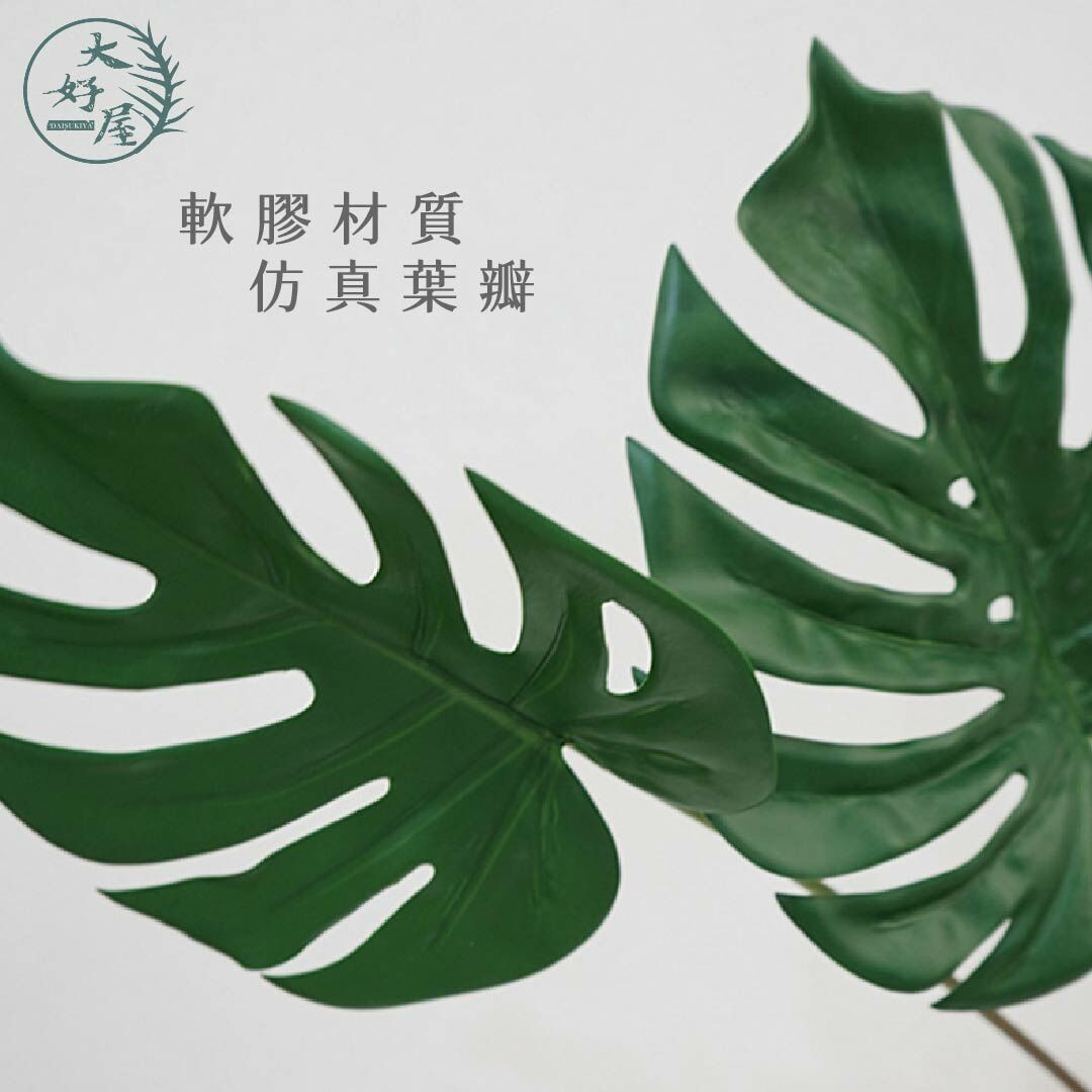 仿真手感龜背葉 (單枝)