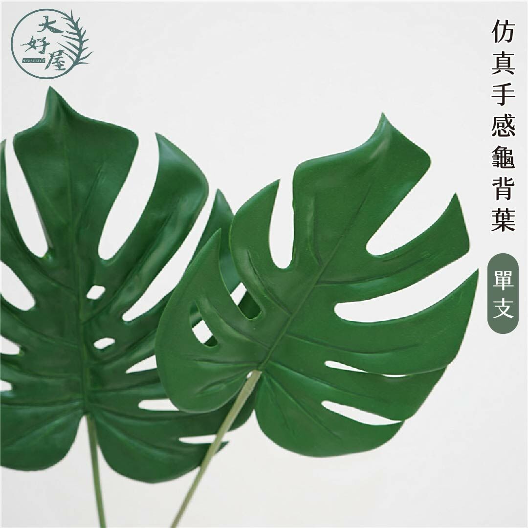 仿真手感龜背葉 (單枝)