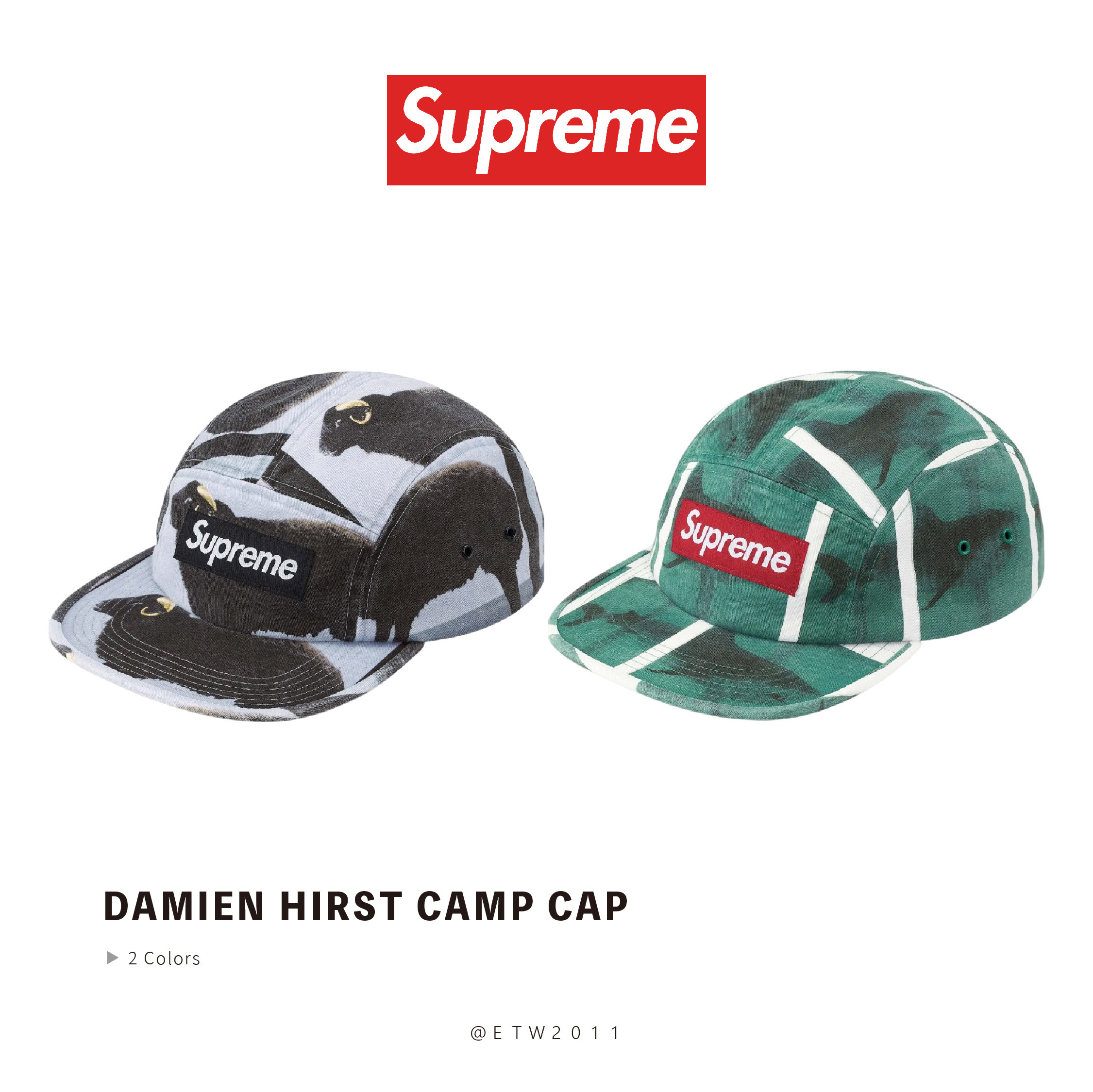 ☆ETW☆【台中店】Supreme Damien Hirst Camp Cap 藝術家黑羊