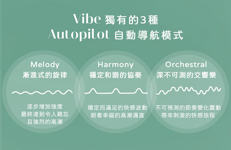 Womanizer｜Vibe｜快感稜線無聲震動器