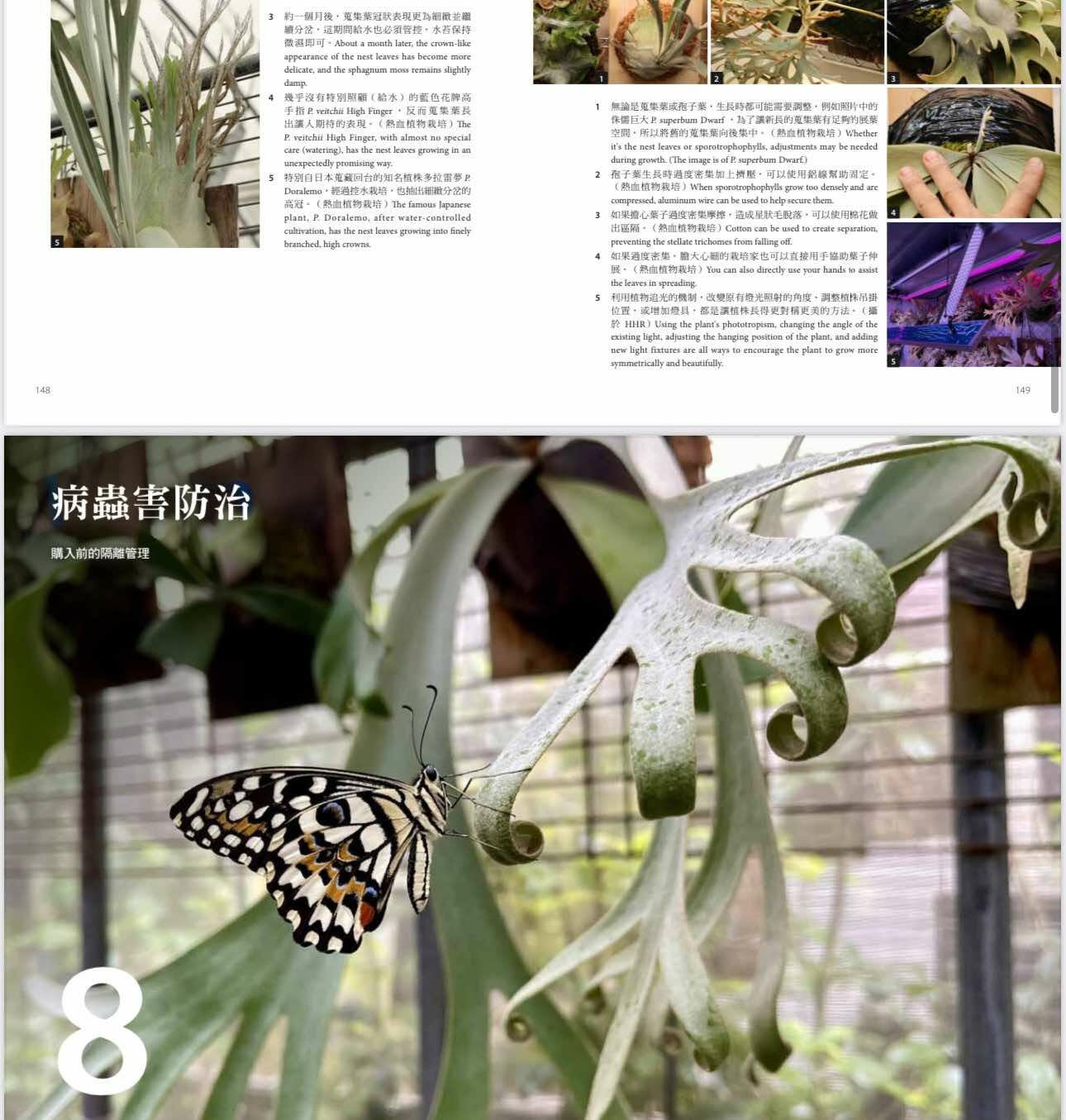 2025年3月 台湾 ビカクシダ育成・品種ガイド本 「鹿角蕨日記簿」新品未開封 2025年3月 台湾 ビカクシダ育成・品種ガイド本 「鹿角蕨日記簿