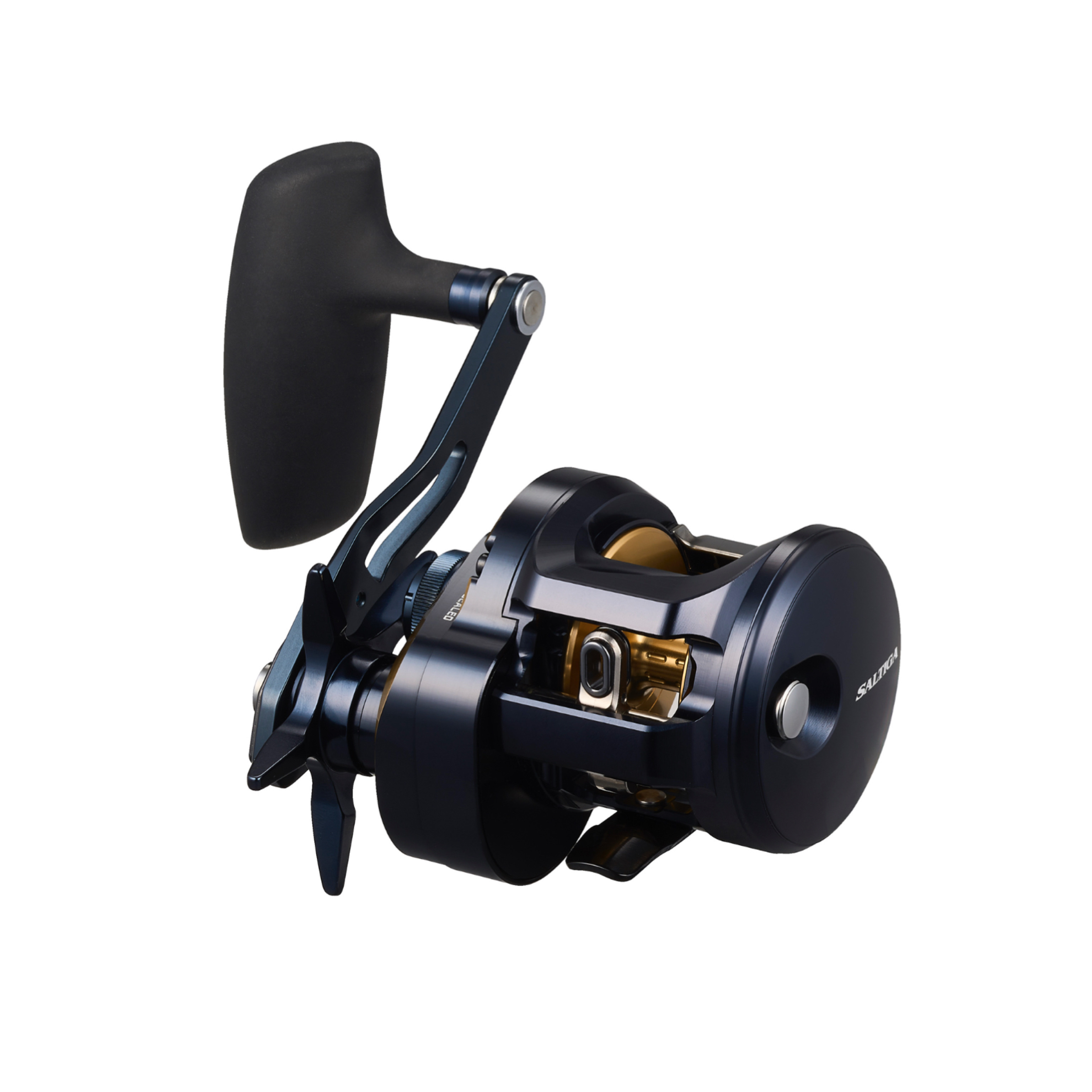 DAIWA 25 Saltiga 300 Bait Reel