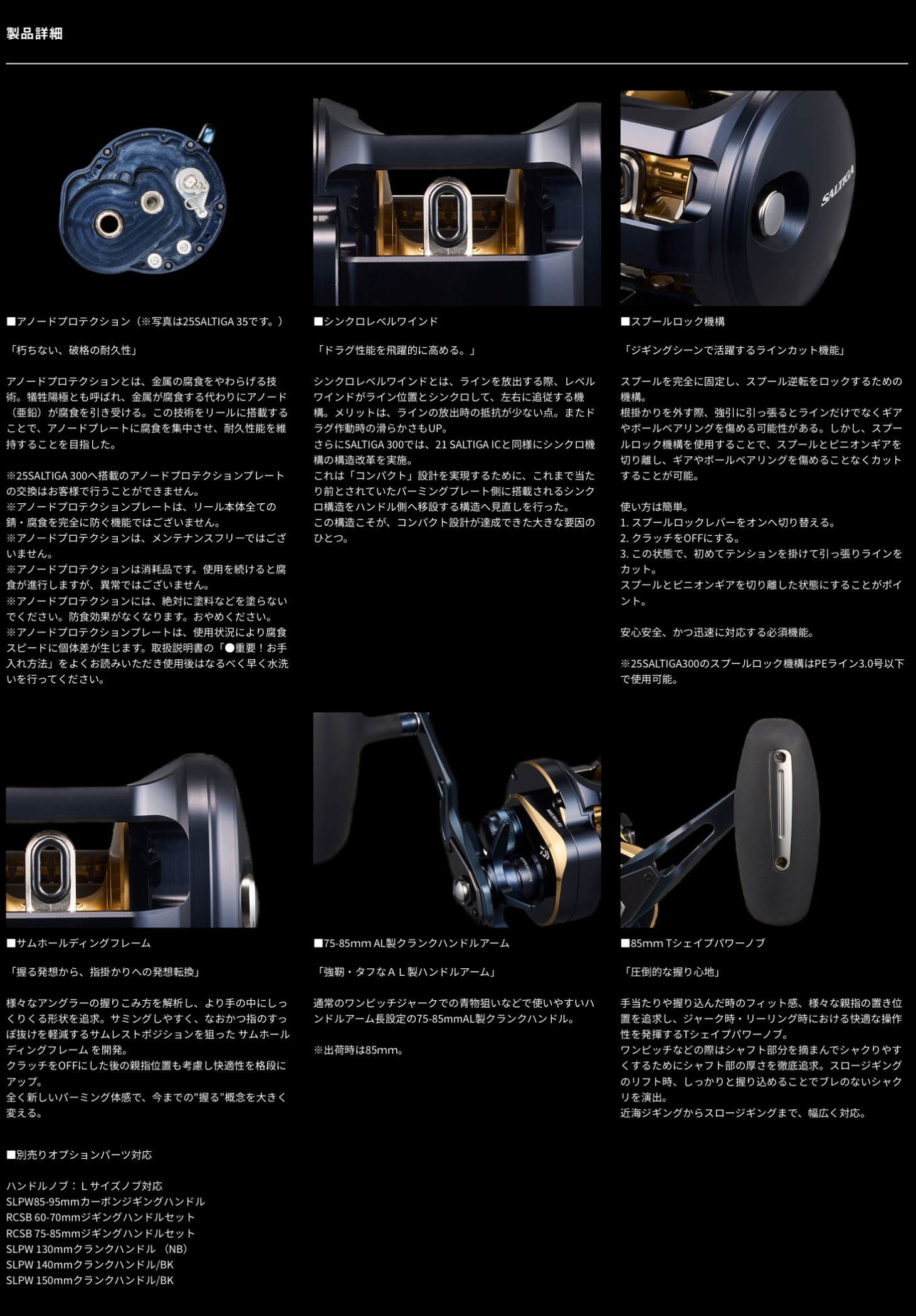 DAIWA 25 Saltiga 300 Bait Reel