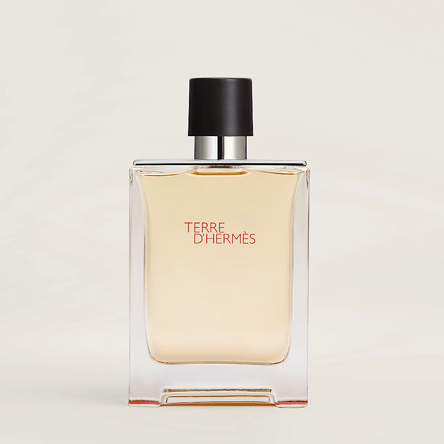 HERMES Terre d'Hermes Eau de toilette PARFUMS 100M 香水