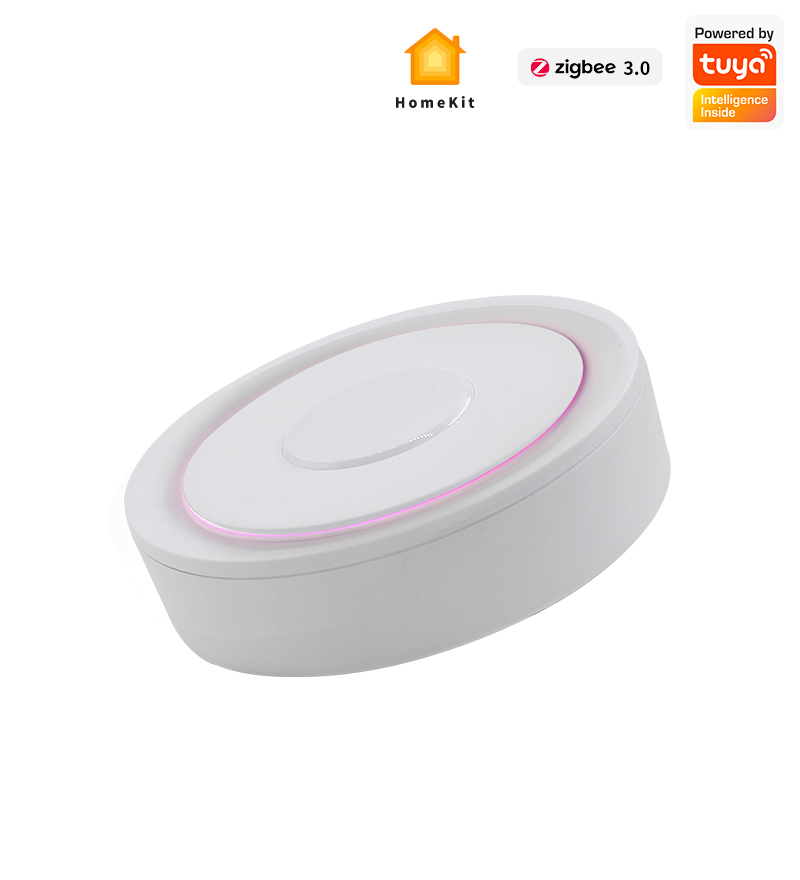 智慧網關 HomeKit版