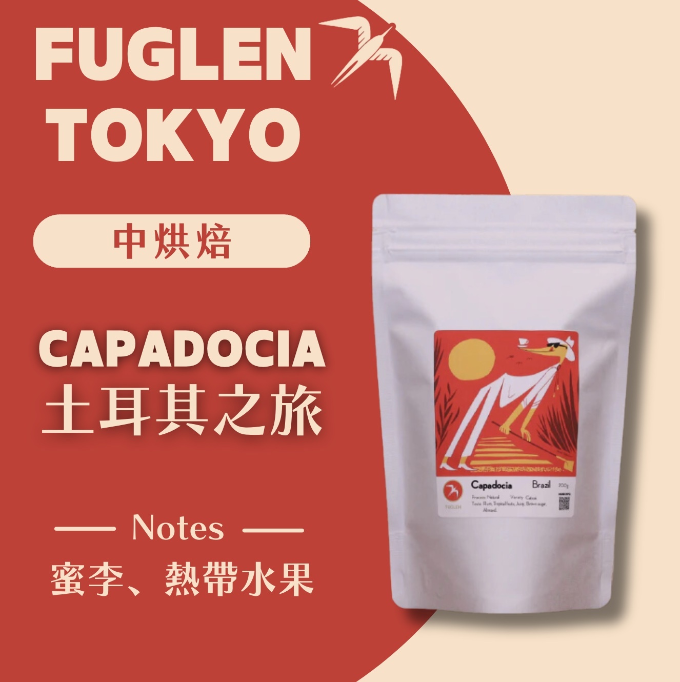 【即將抵台】𝗙𝘂𝗴𝗹𝗲𝗻 挪威候鳥咖啡 Capadocai土耳其之旅