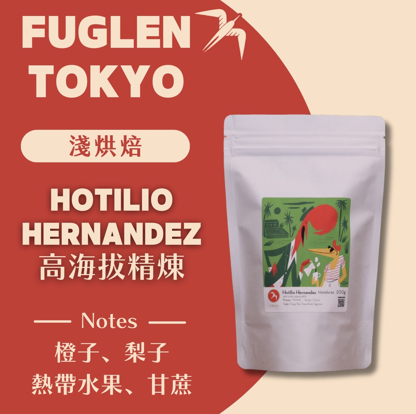 【即將抵台】𝗙𝘂𝗴𝗹𝗲𝗻 挪威候鳥咖啡 HOTILIO高海拔精練