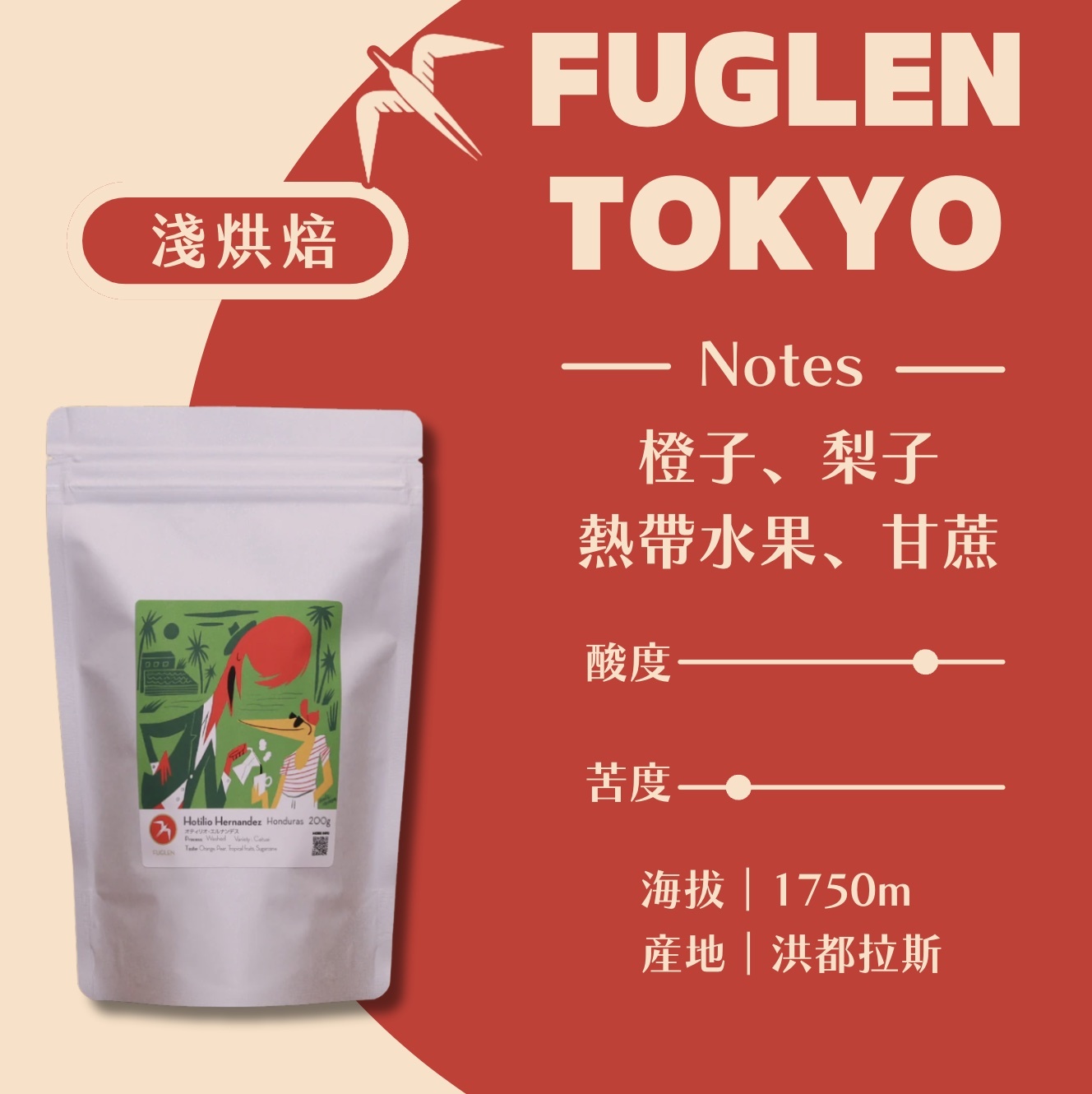 【即將抵台】𝗙𝘂𝗴𝗹𝗲𝗻 挪威候鳥咖啡 HOTILIO高海拔精練