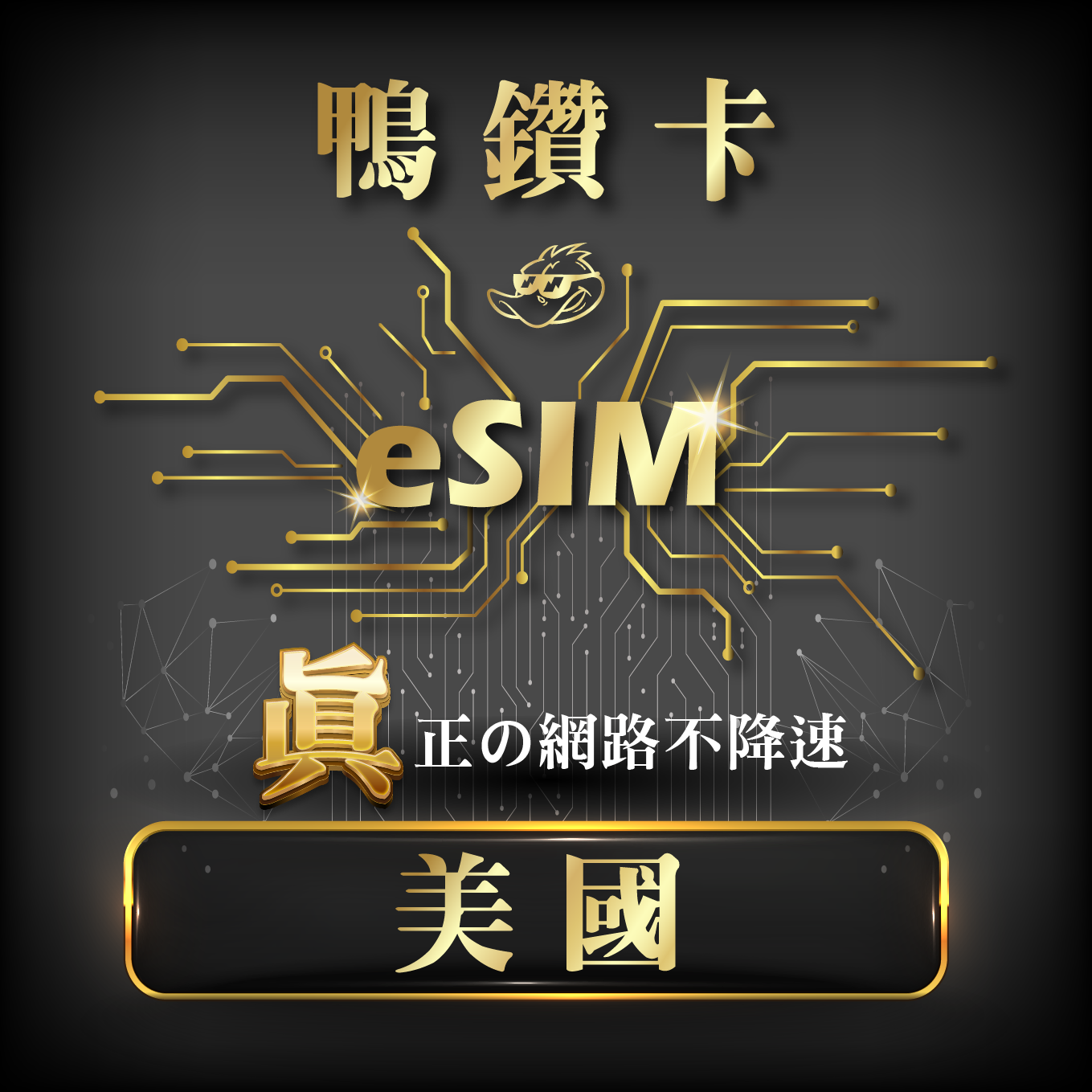 【鴨哥鴨鑽卡eSIM】美國 eSIM 無限流量 吃到飽不降速 免換卡