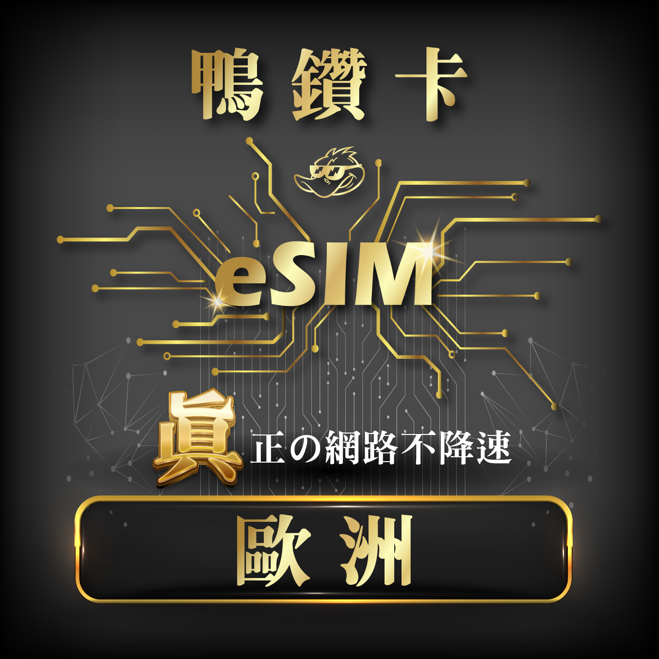 【鴨哥鴨鑽卡eSIM】歐洲 eSIM 無限流量 吃到飽不降速 免換卡