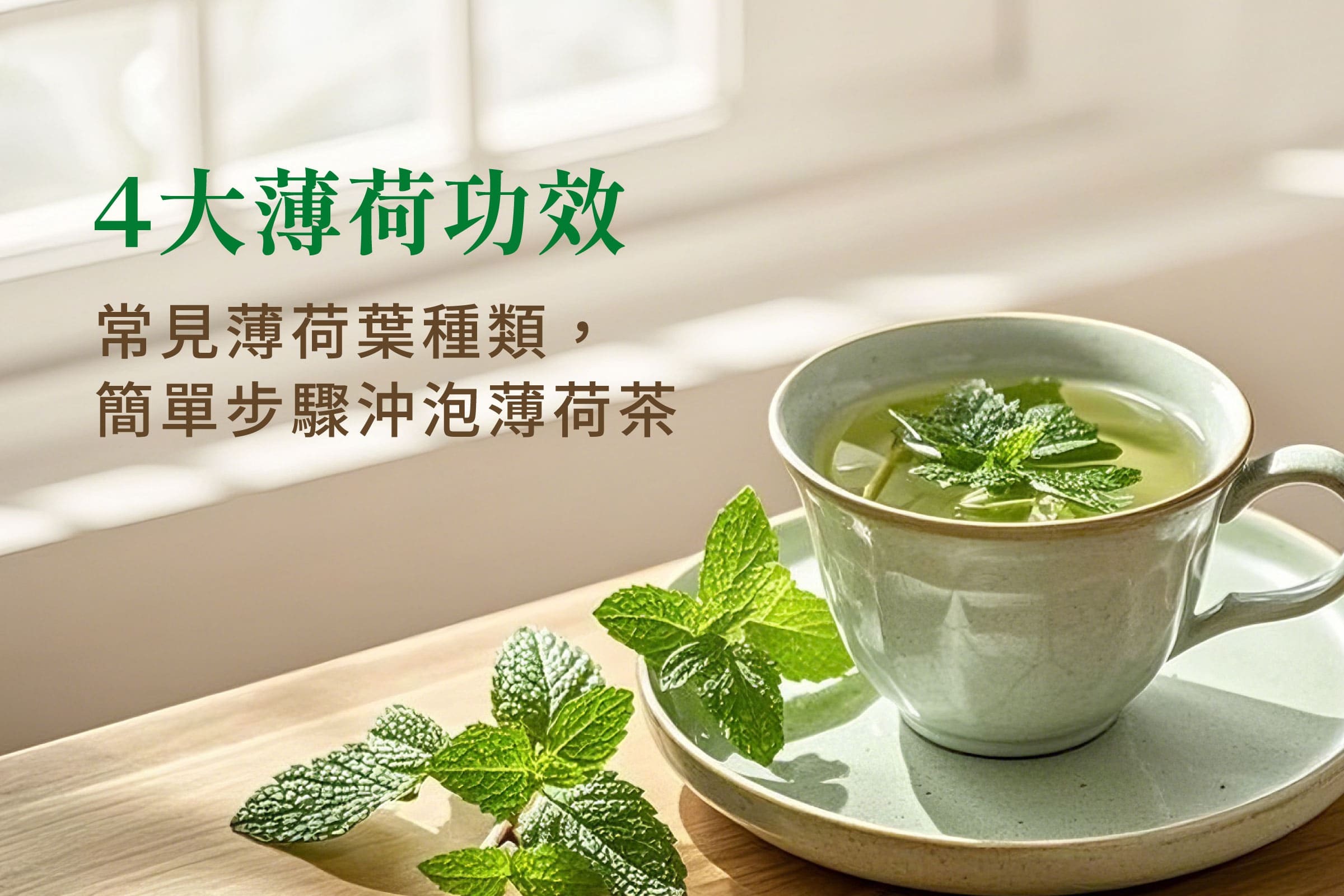 中醫這樣看「薄荷功效」，常見薄荷葉種類有哪些？自製薄荷茶超簡單