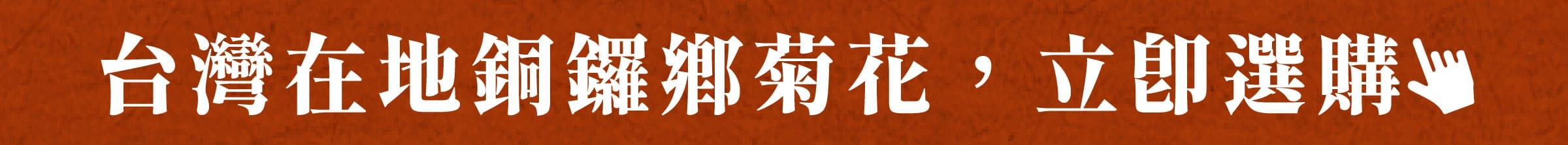 台灣在地銅鑼鄉菊花，立即選購