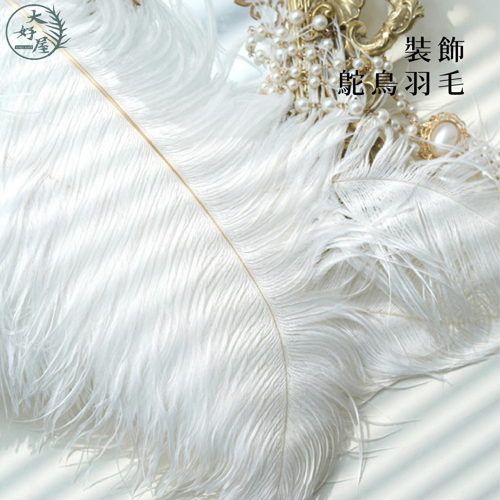 鴕鳥羽毛 【鴕鳥毛】