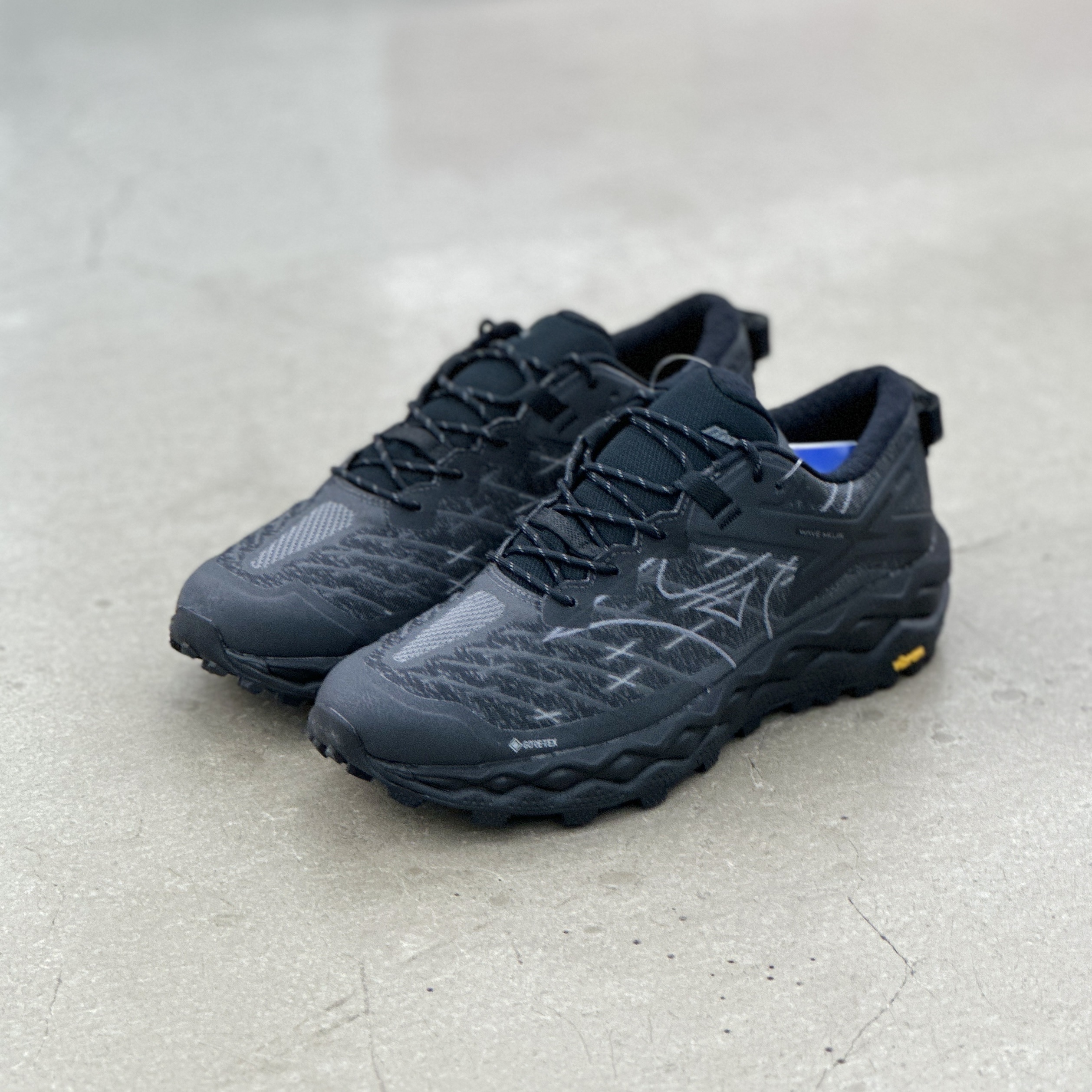 MIZUNO Wave Mujin LS GTX Black | D1GA250102