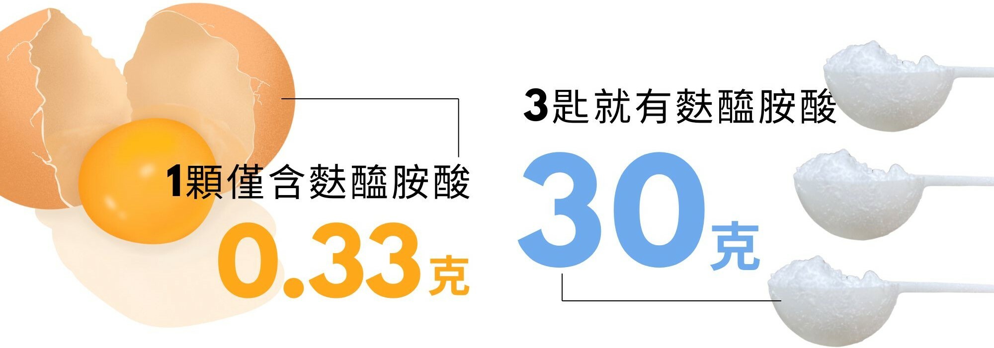 麩醯胺酸食物含量分析比較