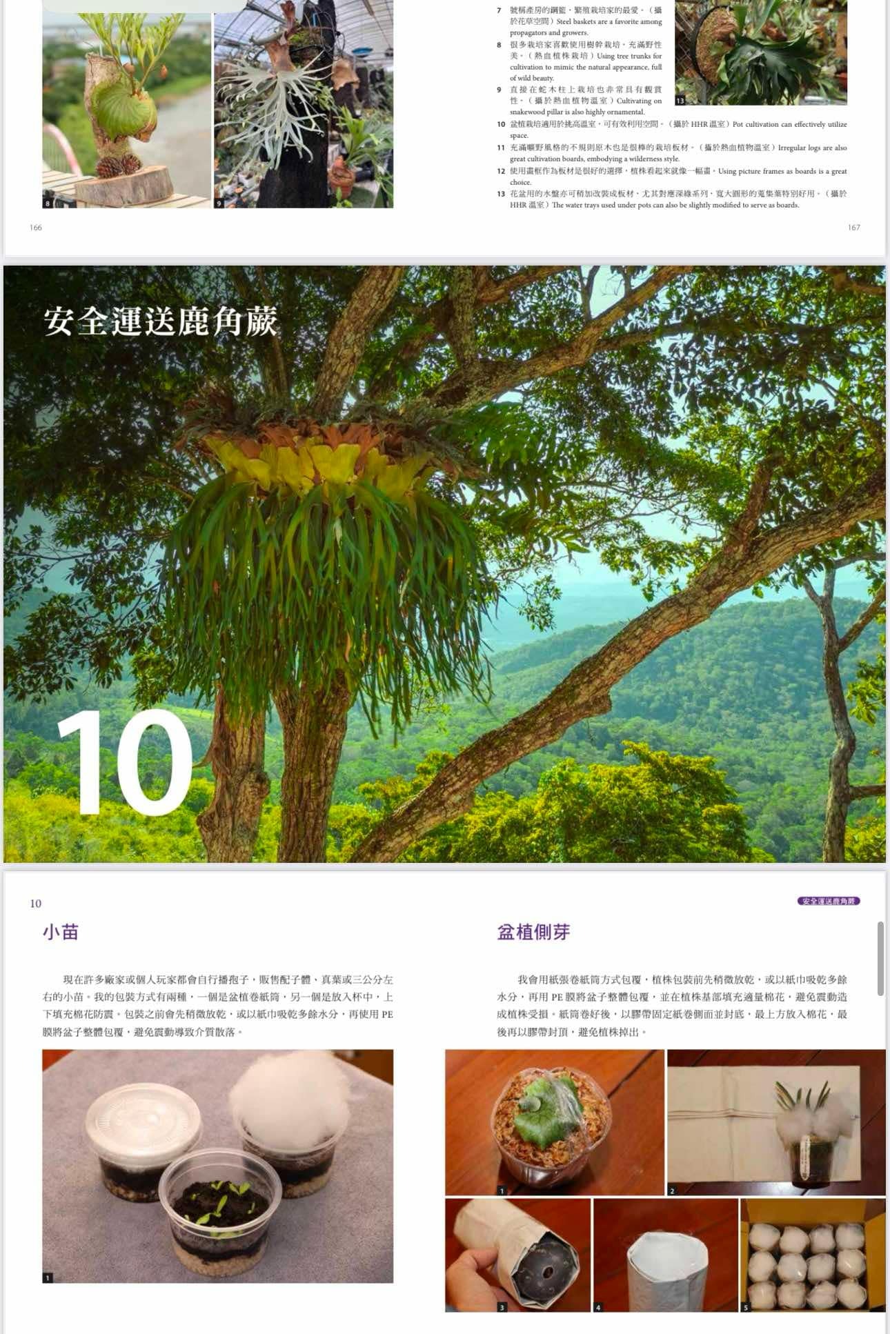 2025年3月 台湾 ビカクシダ育成・品種ガイド本 「鹿角蕨日記簿」新品未開封 2025年3月 台湾 ビカクシダ育成・品種ガイド本 「鹿角蕨日記簿