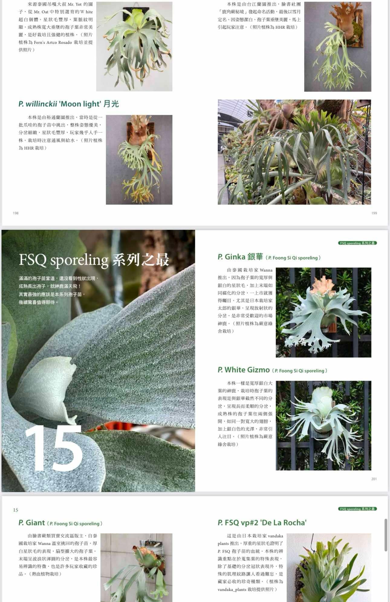 2025年3月 台湾 ビカクシダ育成・品種ガイド本 「鹿角蕨日記簿」新品未開封 2025年3月 台湾 ビカクシダ育成・品種ガイド本 「鹿角蕨日記簿