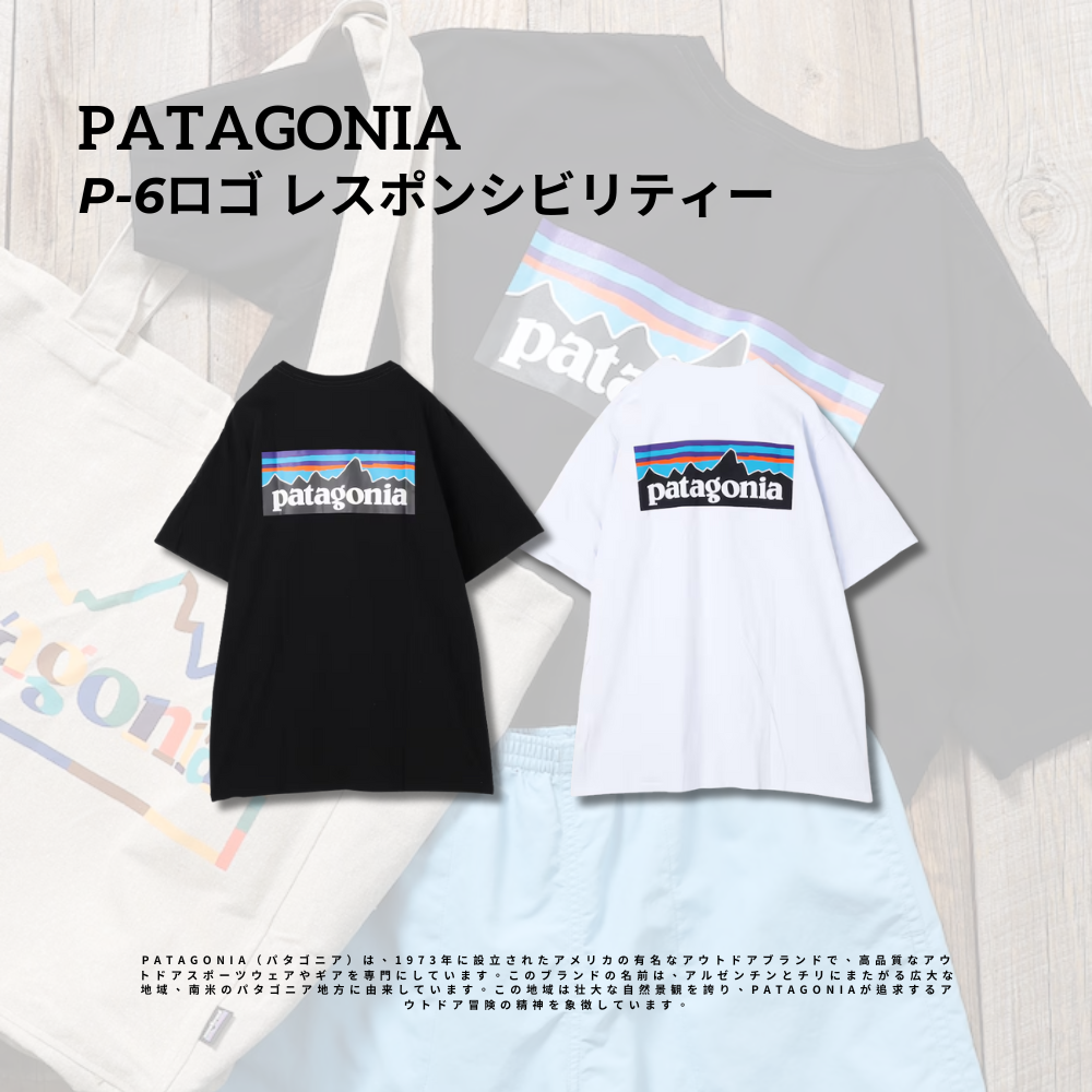 "代購" Patagonia P-6 Logo Responsibili-Tee 寬鬆 經典LOGO 短踢