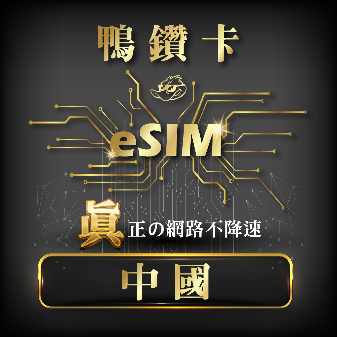 【鴨哥鴨鑽卡eSIM】中國 eSIM 無限流量 吃到飽不降速  免換卡
