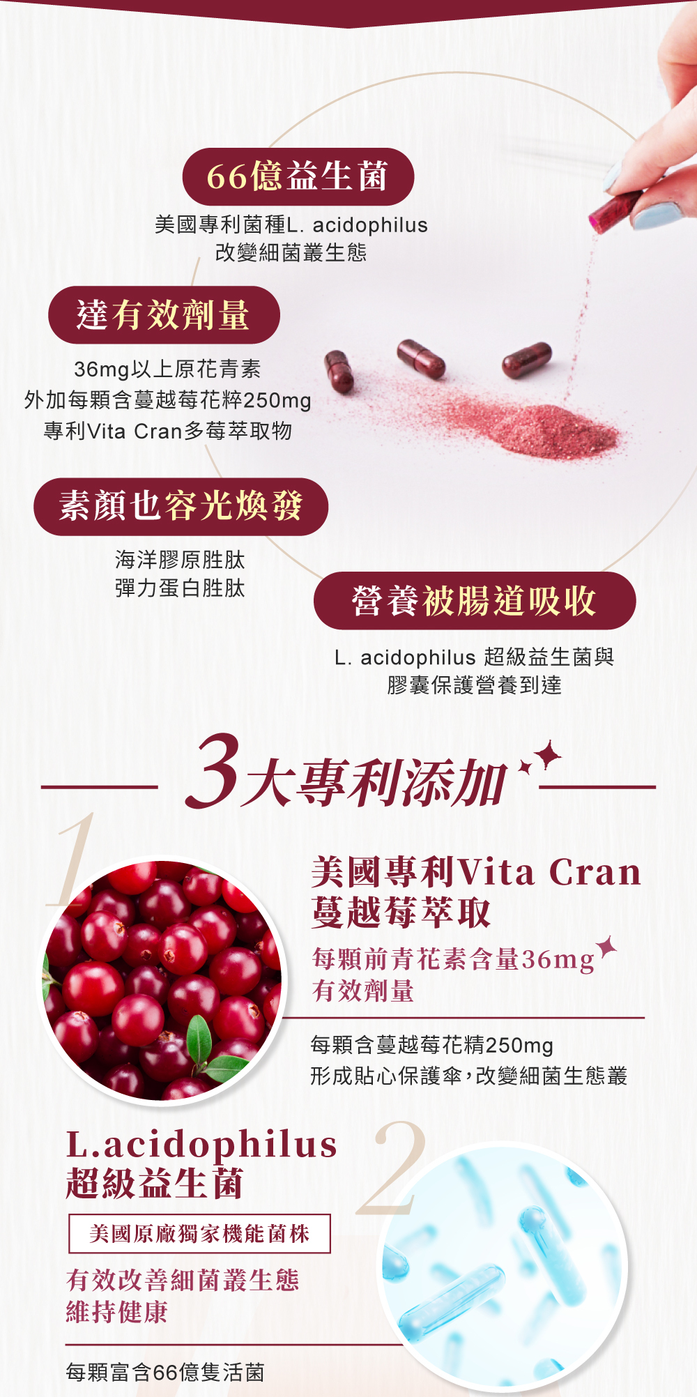 含蔓越莓精萃250mg和美國專利超級益生菌L. acidophilus，膠囊保護營養到達