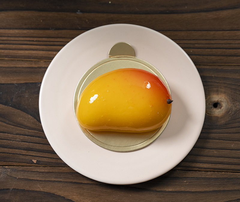 Mango Mango PTW169P