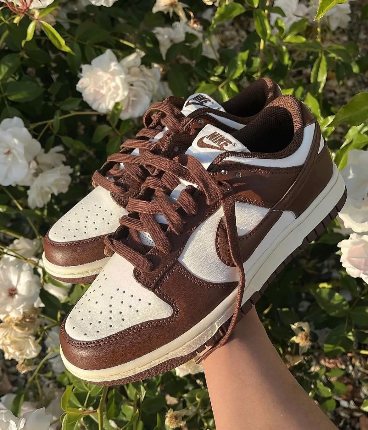 限時優惠！NIKE WMS DUNK LOW (摩卡可可)