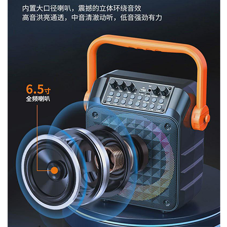 便携式藍牙大音量KTV/播放器連麥克風2支 No:100003