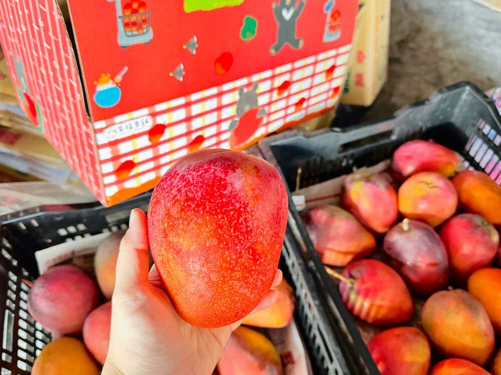 幸福果舖 Taste Sweety˙天然水果乾˙果乾禮盒˙節慶伴手禮 枋山愛文芒果