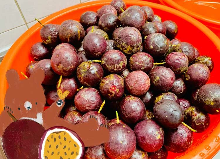 幸福果舖 Taste Sweety˙天然水果乾˙果乾禮盒˙節慶伴手禮 百香果乾