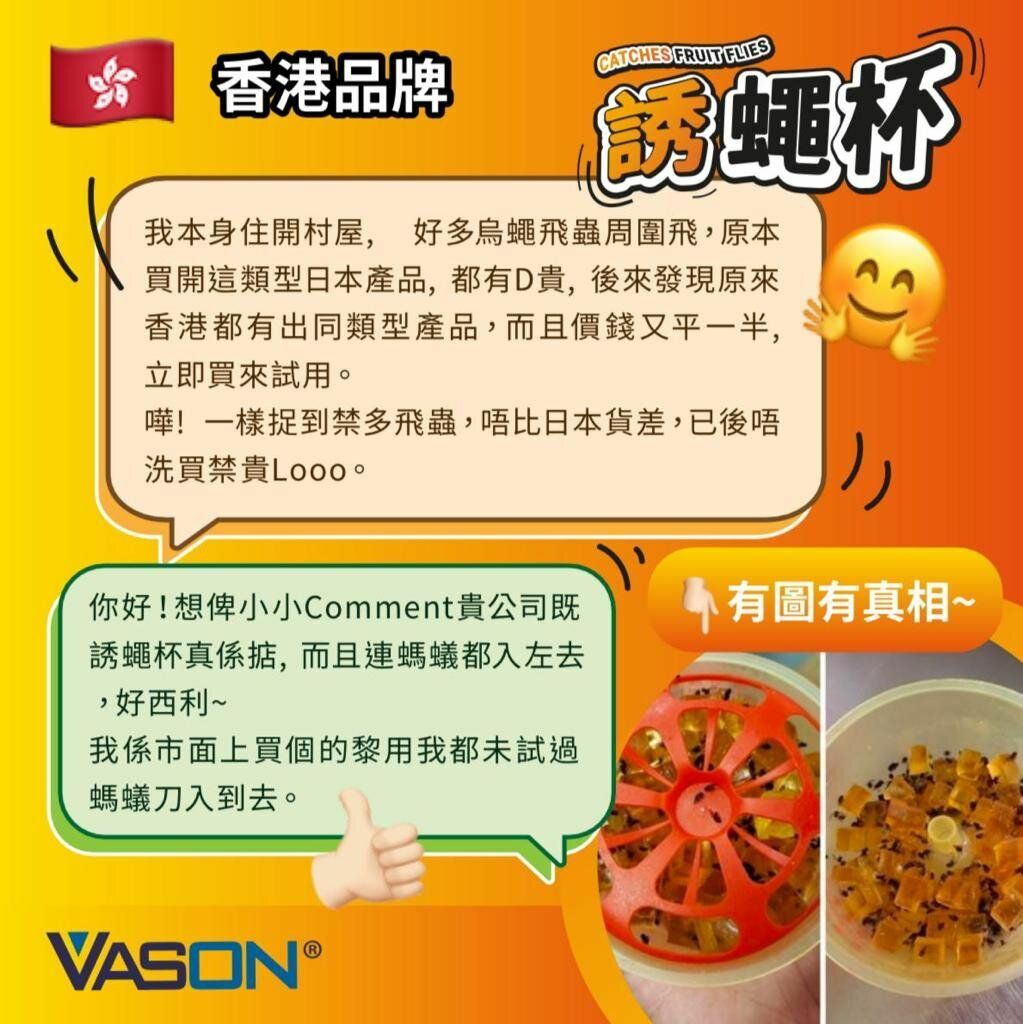 VASON 誘蠅杯 (2個/盒)