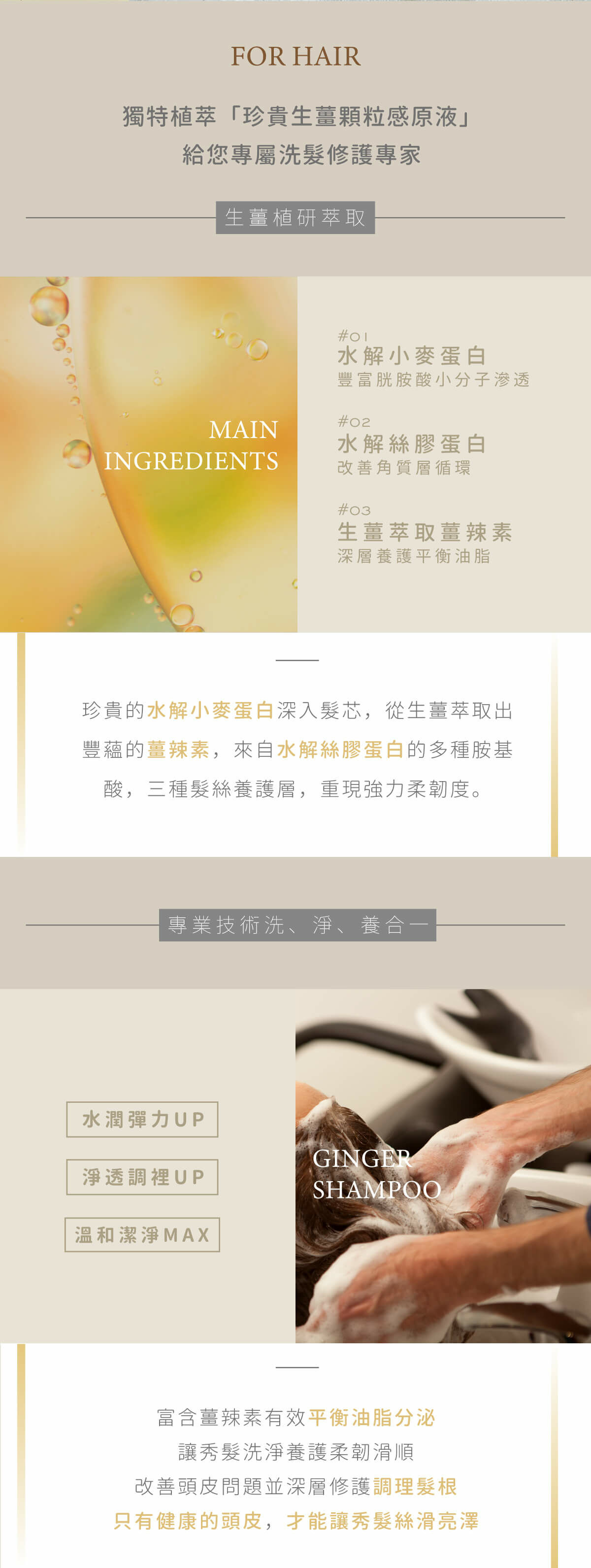 【直播】KAFEN TW081912 生薑洗髮精760ml (贈 KAFEN洗髮梳)