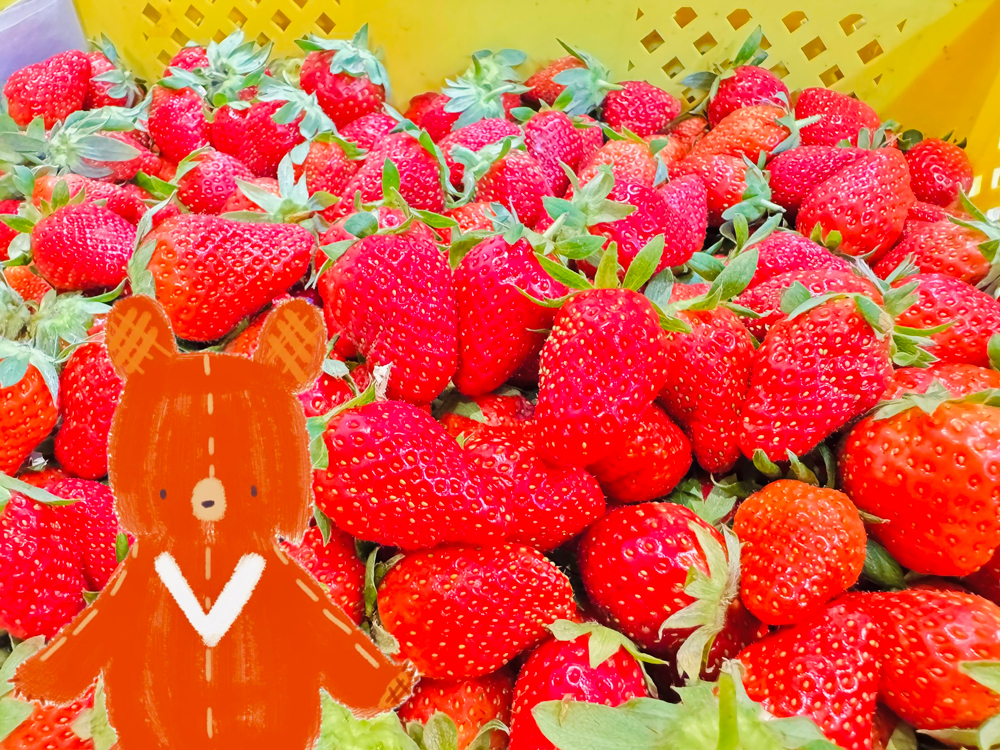 幸福果舖 Taste Sweety˙天然水果乾˙果乾禮盒˙節慶伴手禮 草莓乾