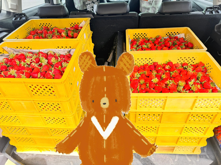幸福果舖 Taste Sweety˙天然水果乾˙果乾禮盒˙節慶伴手禮 幸福果舖草莓乾