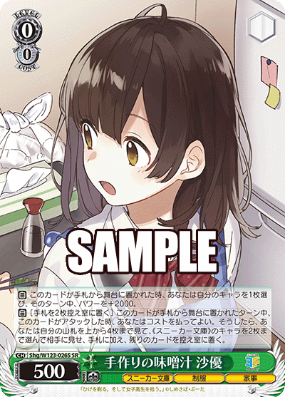 【Shg/W123-026S SR】手作りの味噌汁 沙優