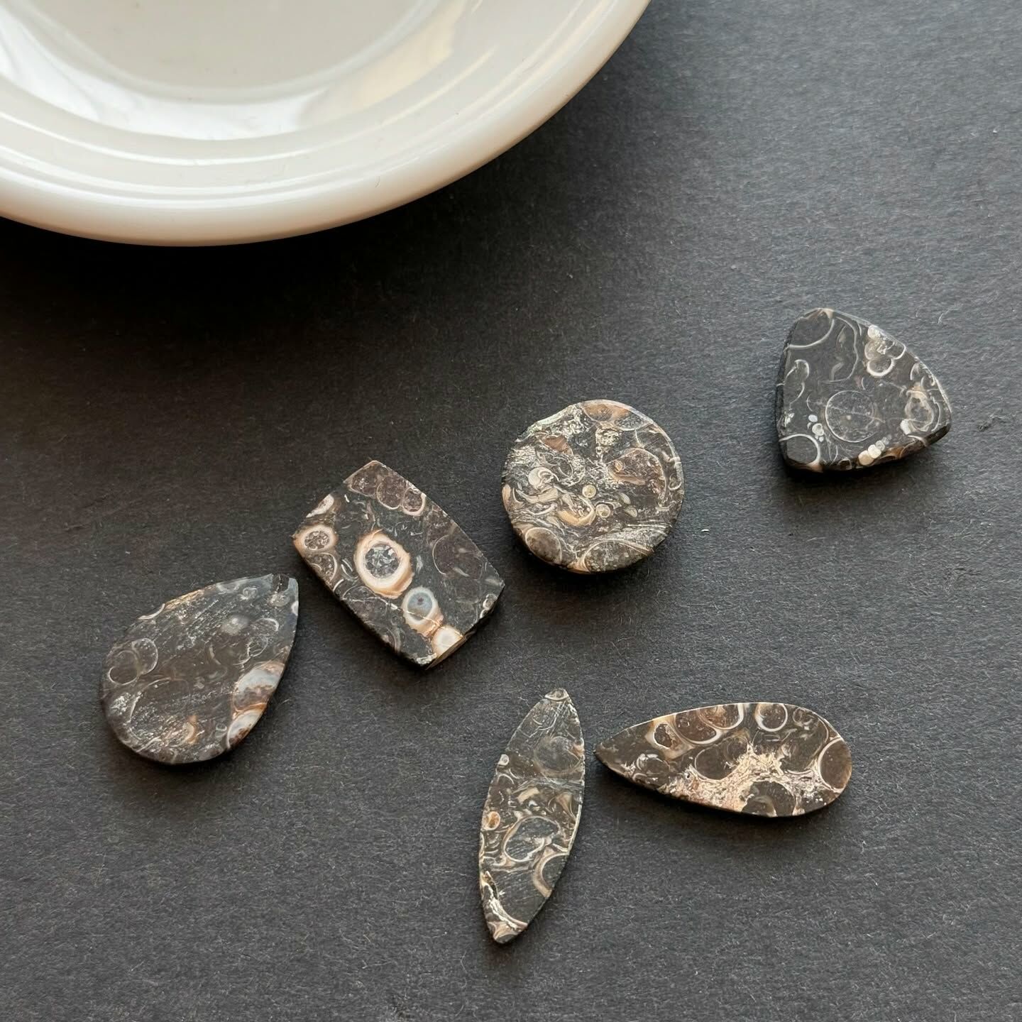 [原石] 黑珊瑚化石 水晶墜面 水晶蛋面