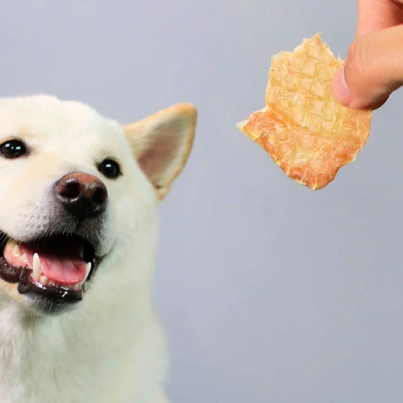 薑黃椰香嫩雞【寵物手工零食】