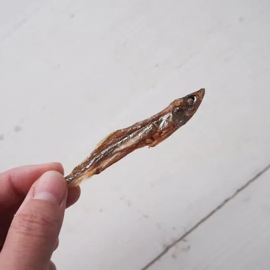 海露雪香【寵物手工零食】