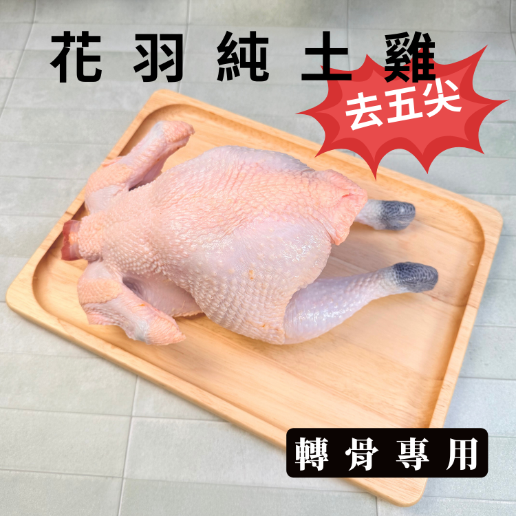 轉骨專用花羽純土雞(公雞)