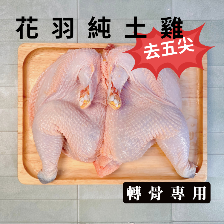 轉骨專用花羽純土雞(公雞)
