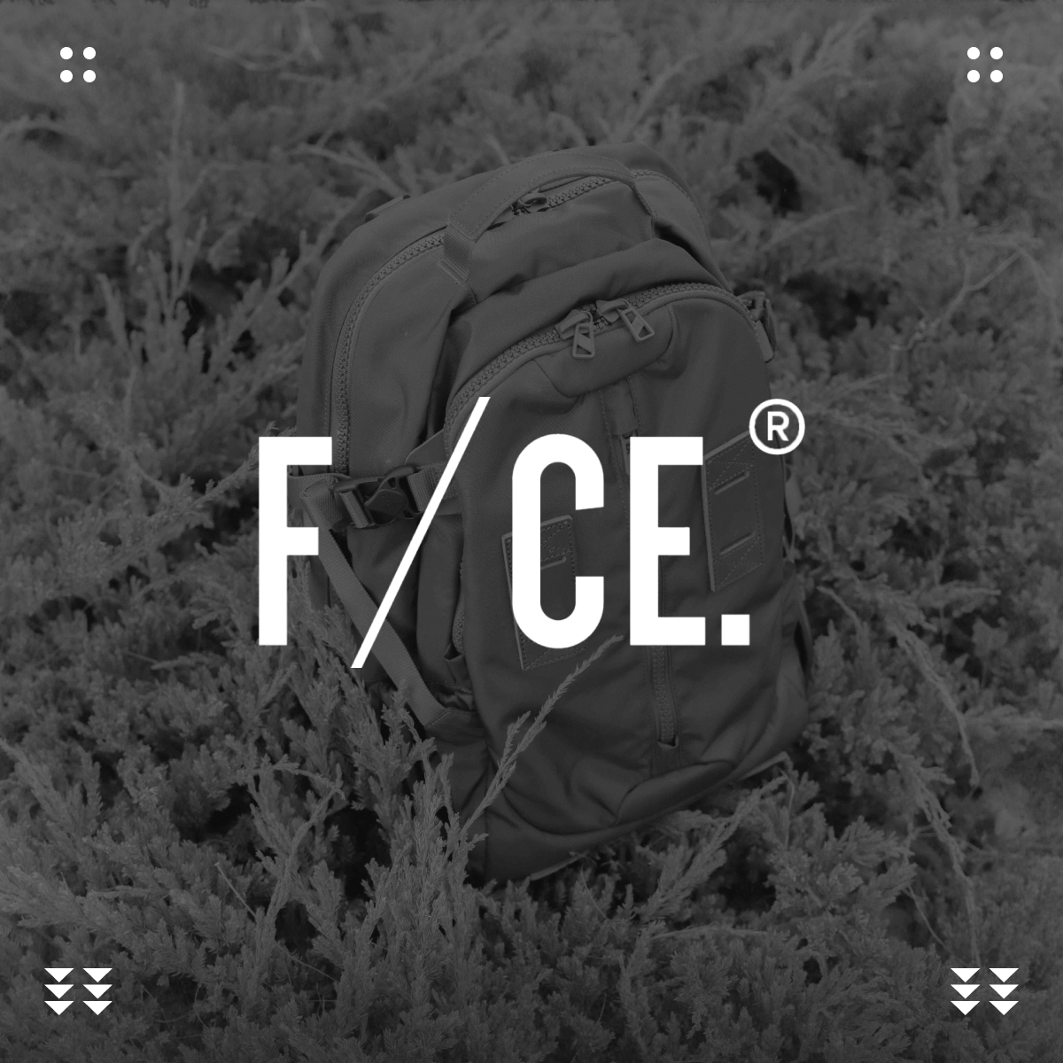 F/CE.