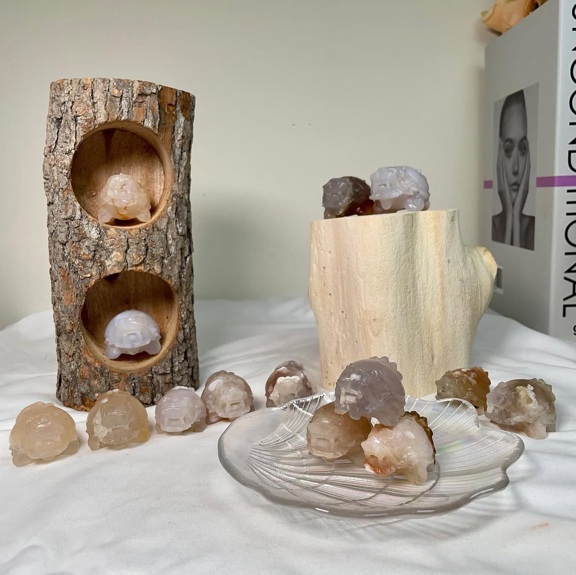 天然璋木樹洞擺設