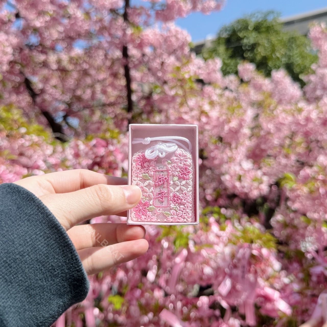 #現貨 日本 櫻神宮御守