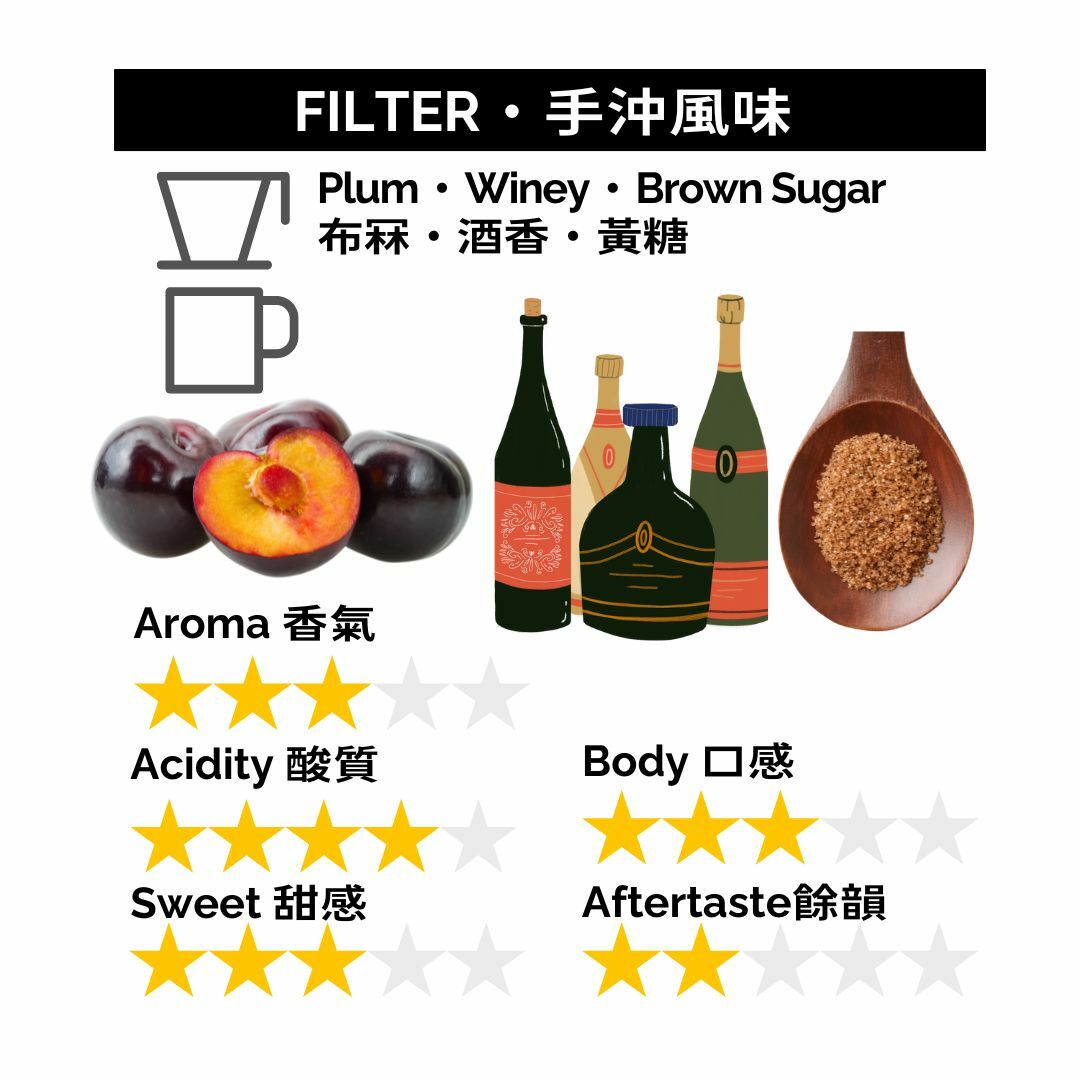 GBP008 巴西 紫蘿蘭 日曬 數量限定