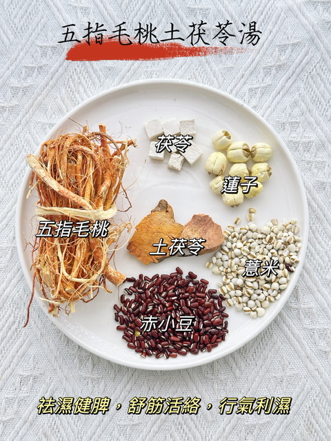 五指毛桃土茯苓湯（👨‍👩‍👧‍👦家庭保健湯包） -2500632