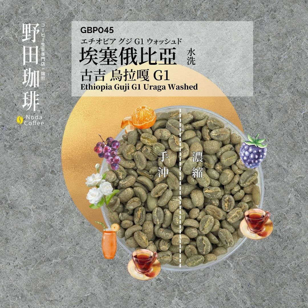 GBP045 埃塞俄比亞 古吉烏拉嘎 G1 水洗
