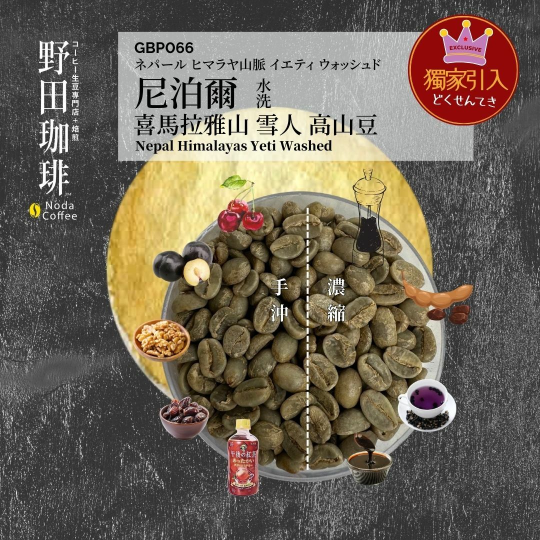 GBP066 喜馬拉雅山 雪人 高山豆 水洗 獨家